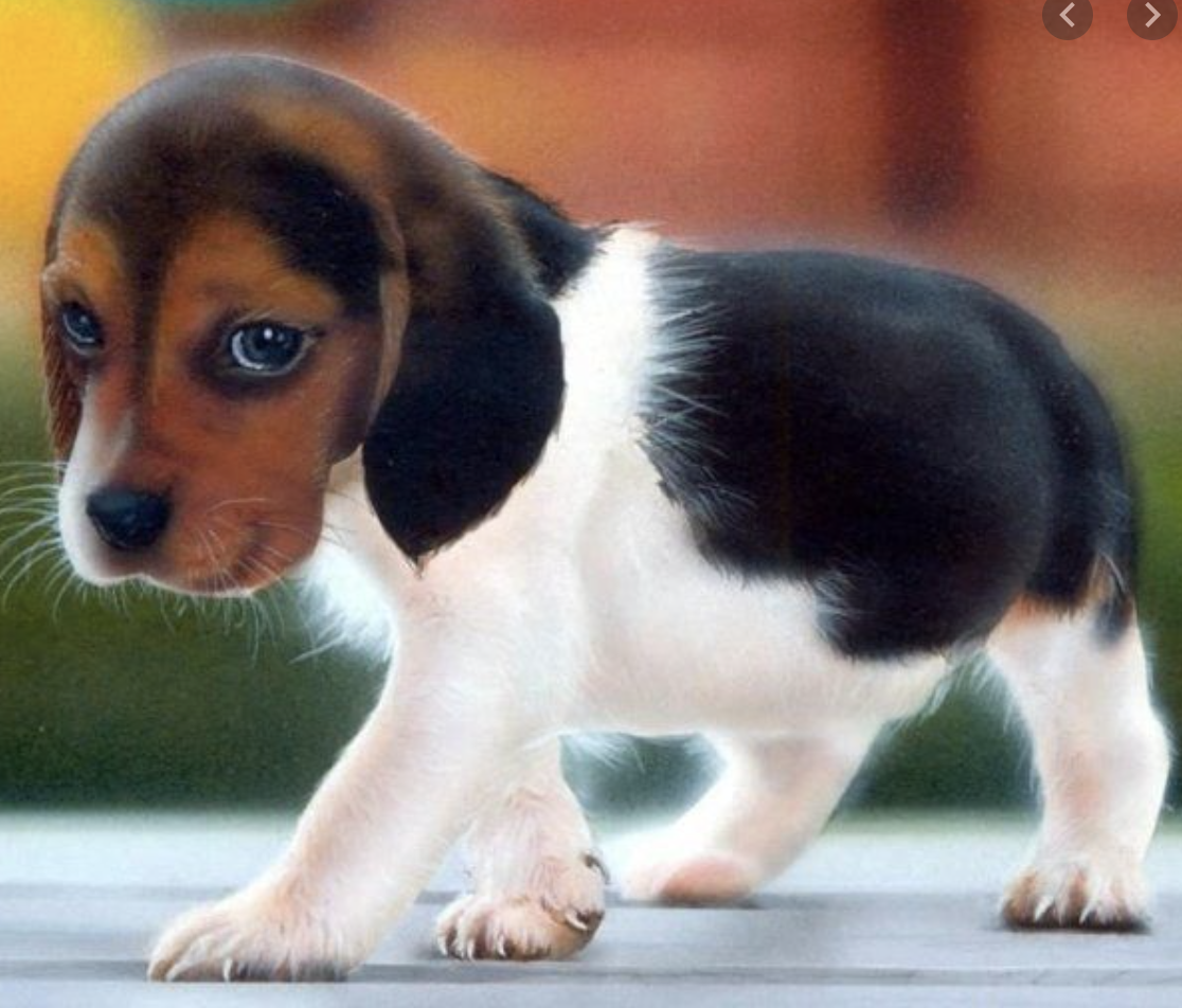 Captura de pantalla 2021-05-04 a las 12.28.06