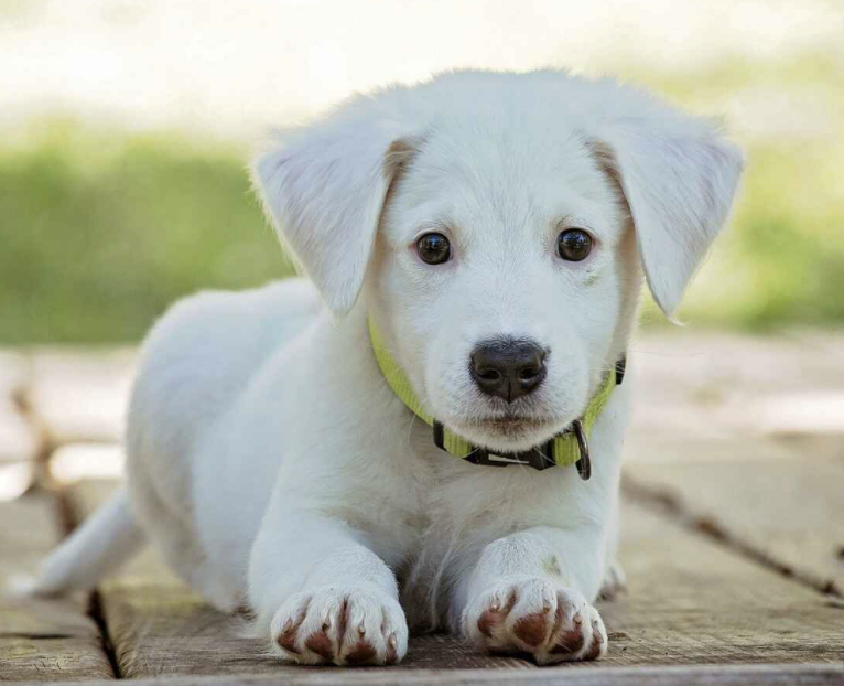 Captura de pantalla 2021-05-04 a las 12.39.25