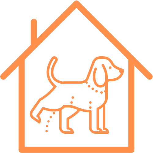 Diseño sin título (72)