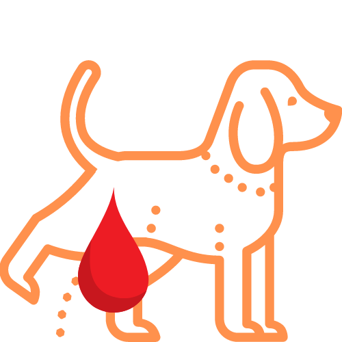 Diseño sin título (75)