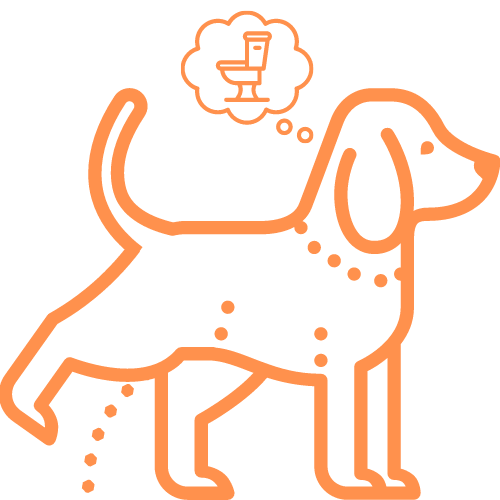 Diseño sin título (76)